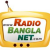 Radio Bangla Net Logo