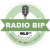 Radio BIP Logo