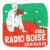 Radio Boise - KRBX - K228EK Logo