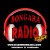 Radio Bongara Logo