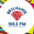 Rádio Brilhante FM Logo