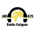 Radio Calypso Logo