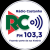 Radio Castanho FM Logo