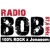 Radio Bob Logo