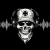 Rádio Insanos MC Logo