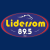 Radio Lidersom FM Logo