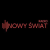 Radio Nowy Świat Logo