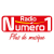 Radio Numéro 1 Logo