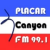 Rádio Placar FM Logo