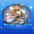 Radio Pro Mix Logo