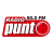 Radio Punto Logo
