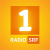 Radio SRF 1 - Regionaljournal Zentralschweiz Logo
