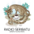 Radio Seribatu - Seribatu Village Channel Logo