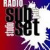 Radio Subset Logo