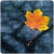 Radio Suite Network - Nature Radio Rain Logo