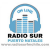 Radio Sur OnLine Logo