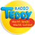 Radio Teddy Sudwest Logo