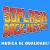 Rádio Web Só Flashback Logo