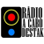 Rádio a Cabo Destak Logo