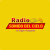 Radio Sonido del Cielo Logo