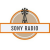 Sony Radio Logo