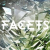 Staggered Laboratories - Facets Logo