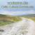 Scoteire Logo