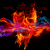 Total Anarchy Radio Logo