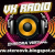 VK Radio Logo
