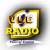 VOG i RADIO Logo