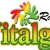 VitalghRadio Logo
