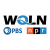 WQLN 91.3 FM - W211AE Logo