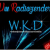 WKDteam Logo
