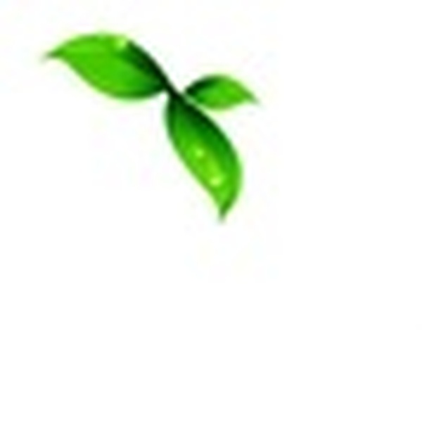 Vivela Stereo Logo