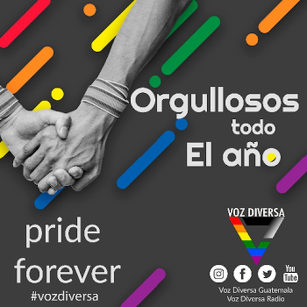 Voz Diversa Radio Logo