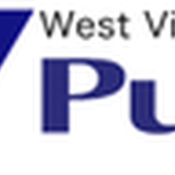 WVPN - W297AA Logo