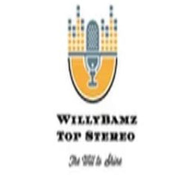 WillyBamz Stereo Logo