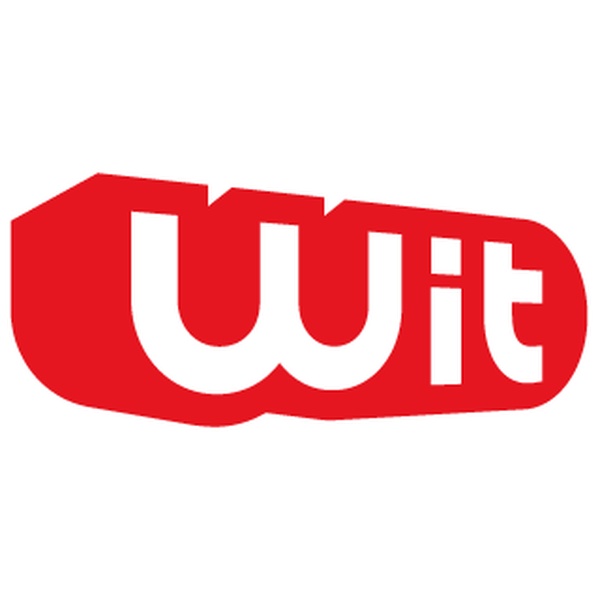 Wit FM - Love Logo